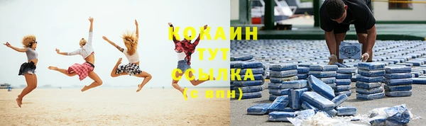 дмт Аркадак