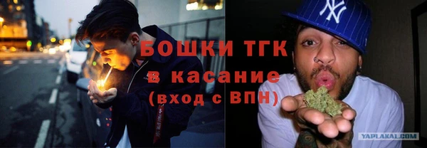 твердый Арсеньев