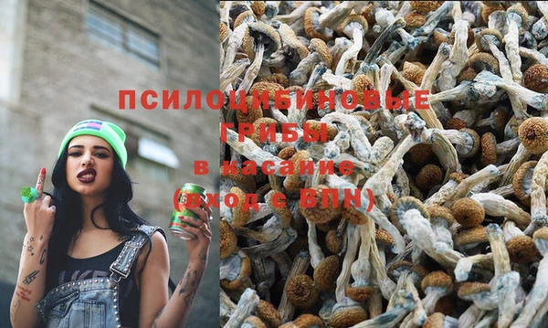 дмт Аркадак